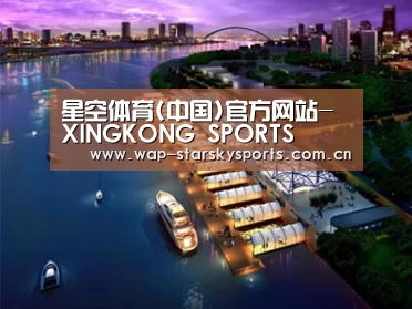 案例展示八