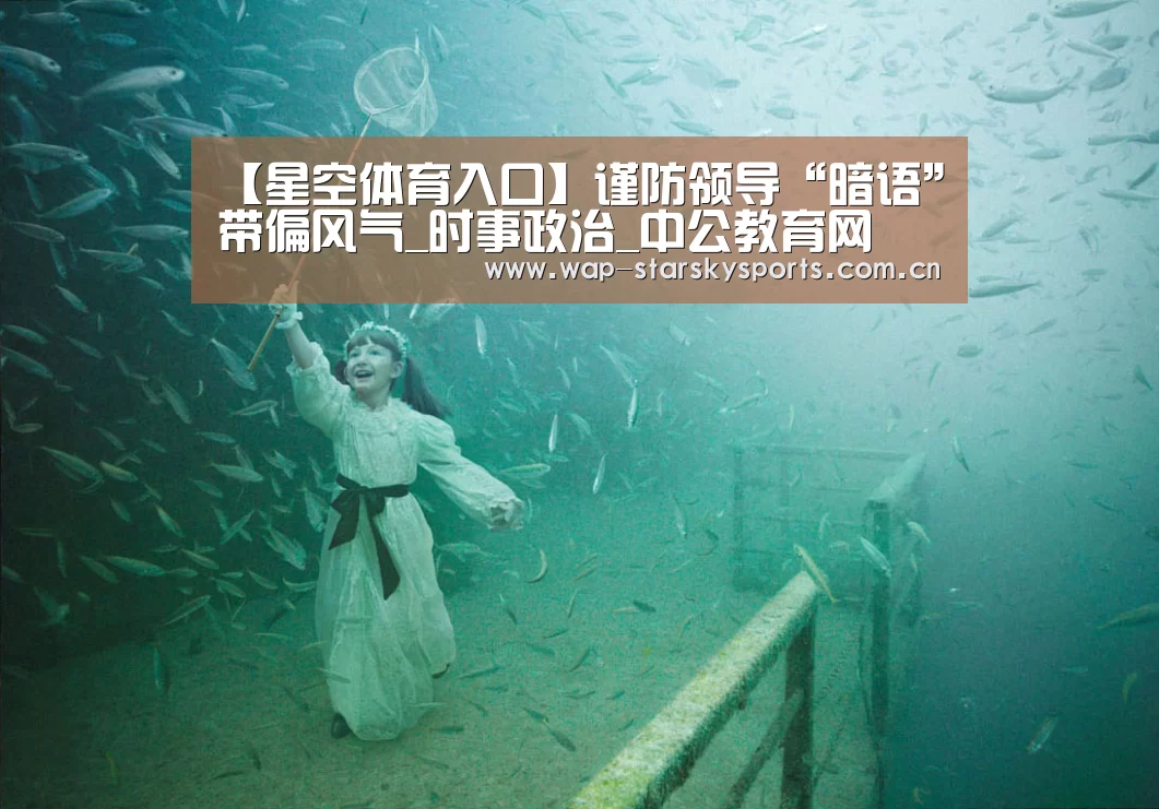 星空体育官网